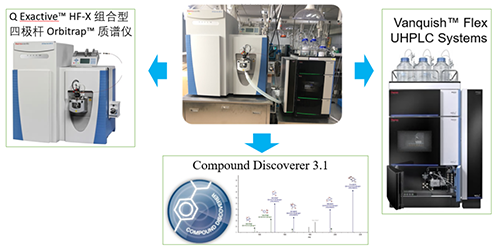 UHPLC-UV-QE HF-Xϵͳ