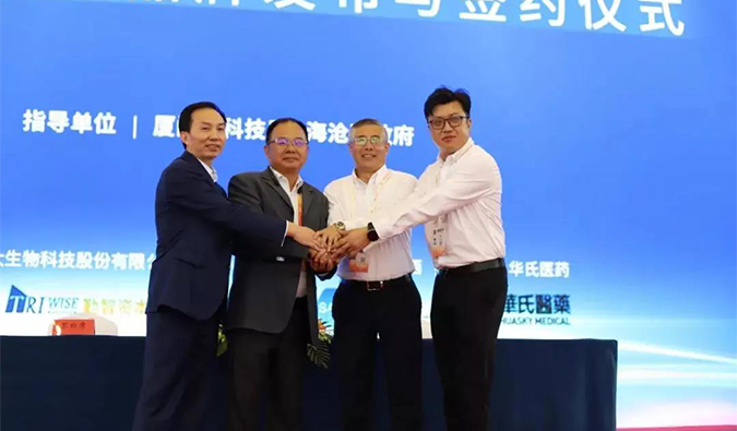 ʼ&CEO´벩ʿű̫︱ܾƽǩսԺЭ顣