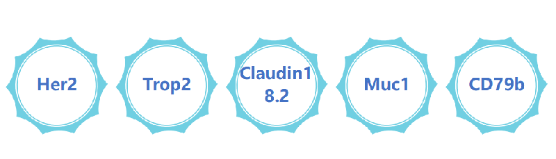 ADCҩе.png