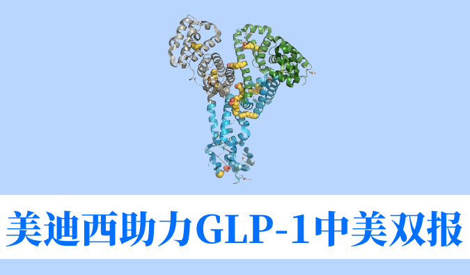 ΤGLP-1СӼWBD156INDٴ˫˫